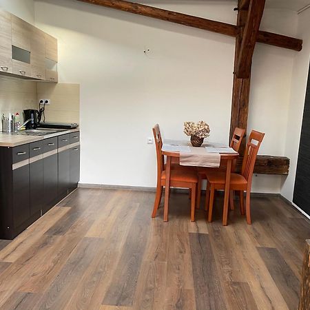 Ferienwohnung Studia Maxim Frýdek-Místek Exterior foto